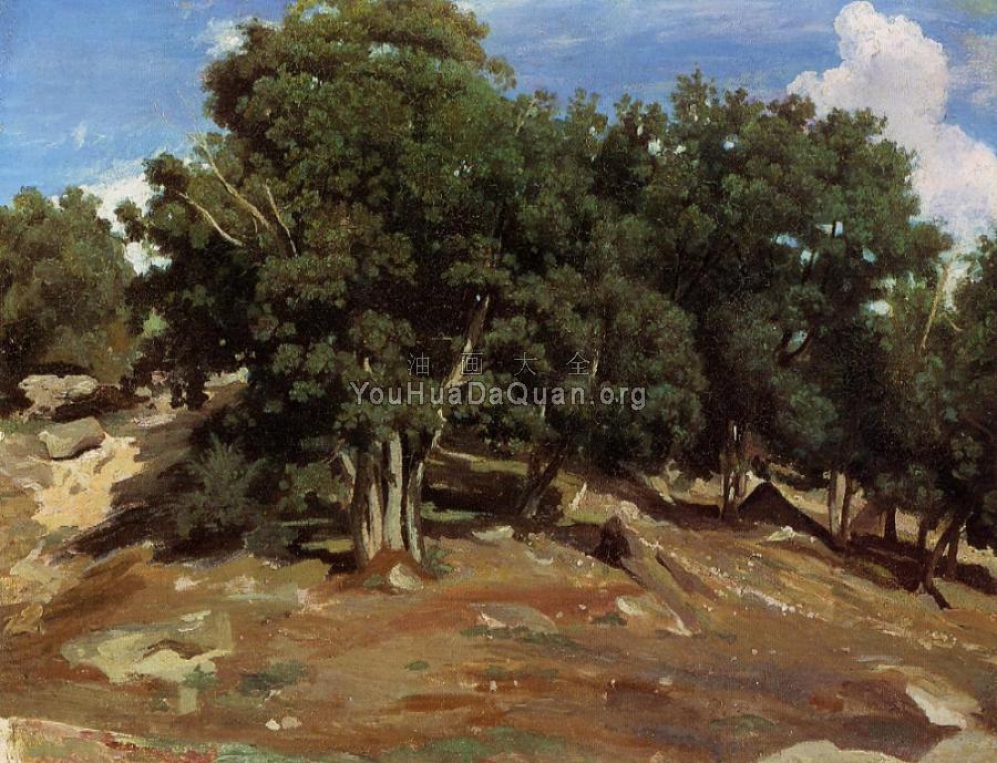 Fontainebleau - Black Oaks of Bas-Breau - 让·巴蒂斯特·卡米耶·柯罗